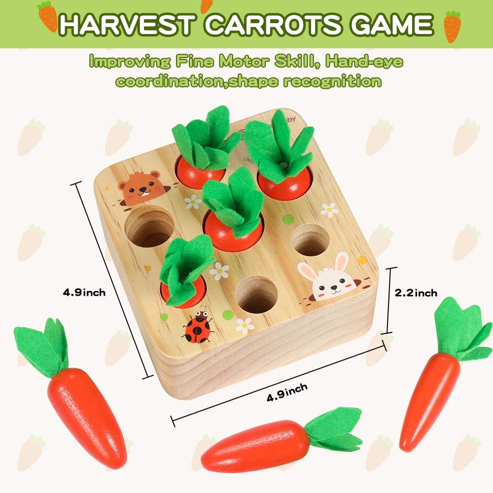 Carrot Explorer™ Play Kit