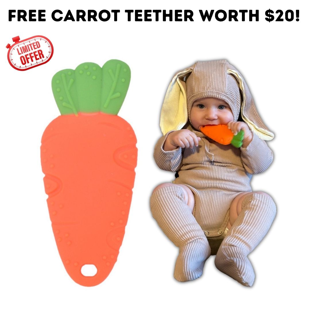 The Explorer Play Kit + FREE Carrot Teether